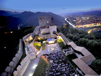 Celje Castle