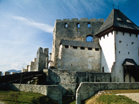 Celje Castle